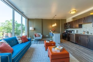 A luxury furnished apartment living room at Ovation